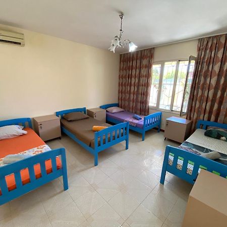 The Hood - Shkodra Backpackers Hostel 外观 照片